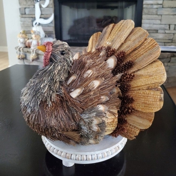 Gorgeous Natural Turkey-NWT - Picture 5 of 10